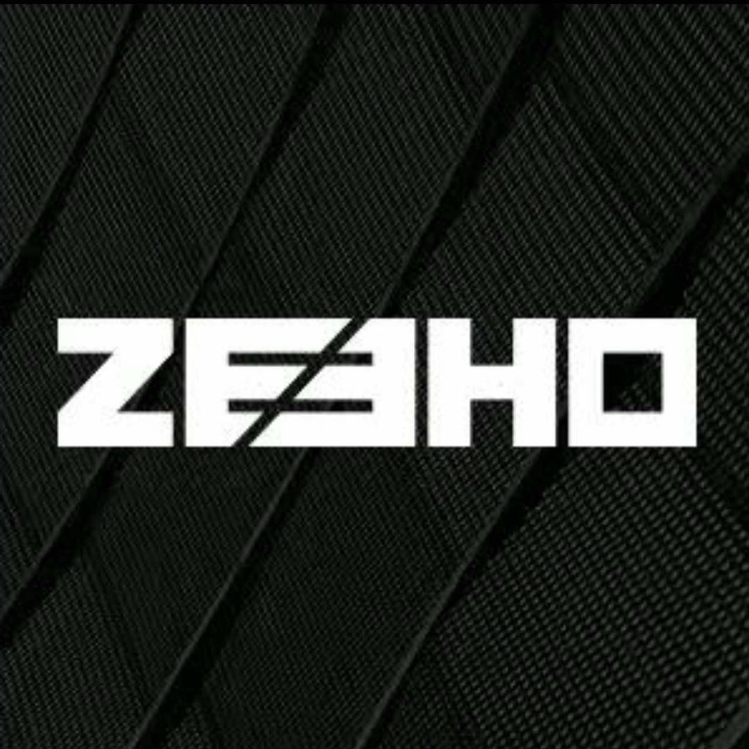 ZEEHO极核电动(金牛区营门口)
