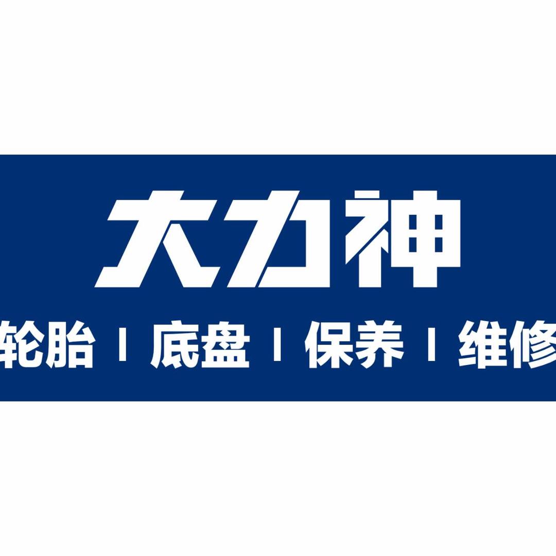 大力神汽车精养