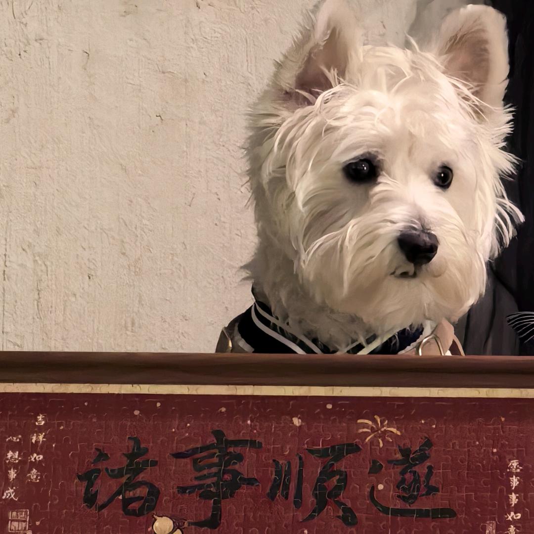 浪🌊咖啡酒馆（周二店休）