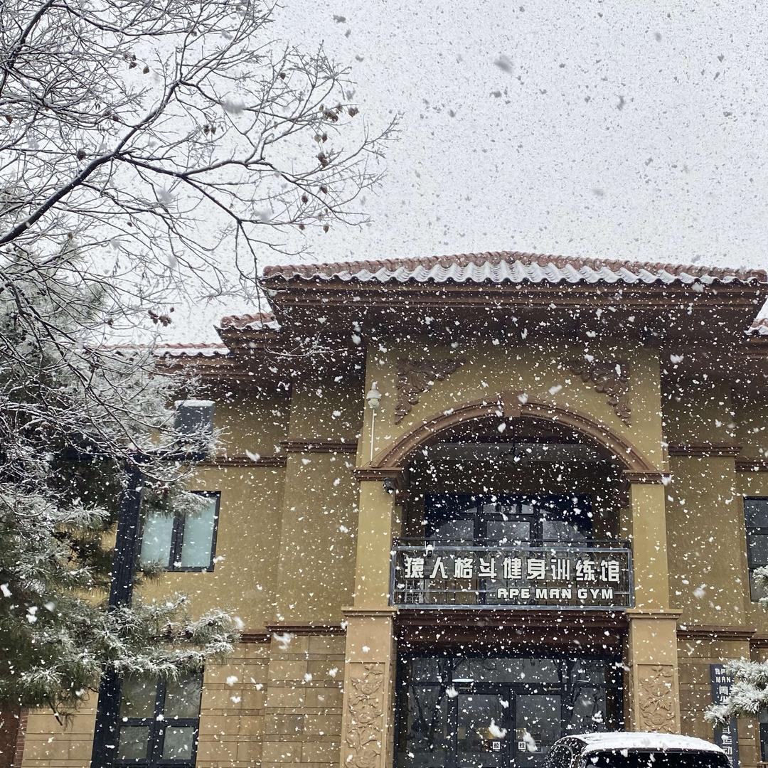 猿人格斗训练馆