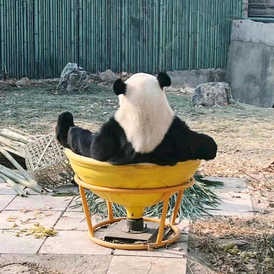 渭南老酒收藏