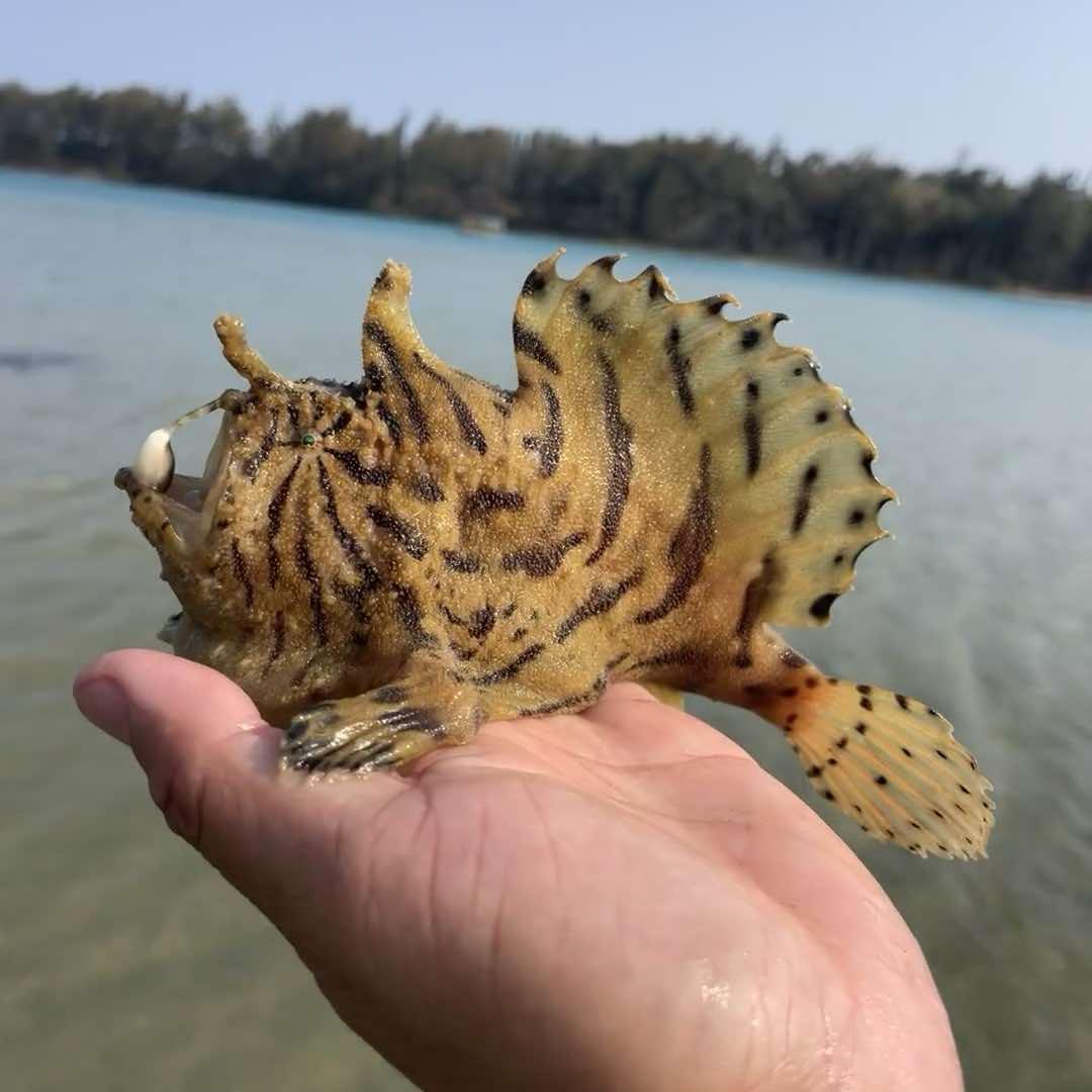 淘乐亲子研学营地