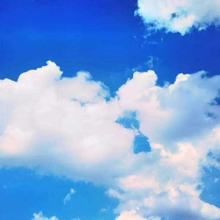 信栢科技有限公司主播号