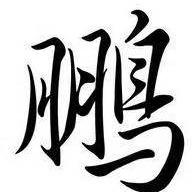 喜陈科技有限公司运营直播号