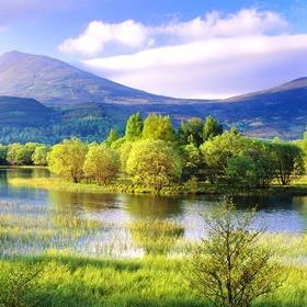 创能都佑福直播号