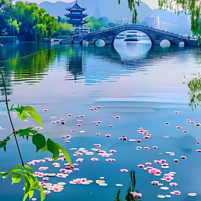 吉安市井开区禽邵客服号