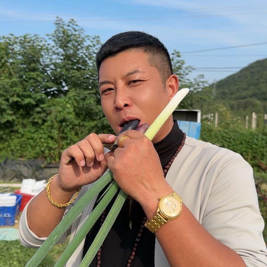 海阳老猫传媒