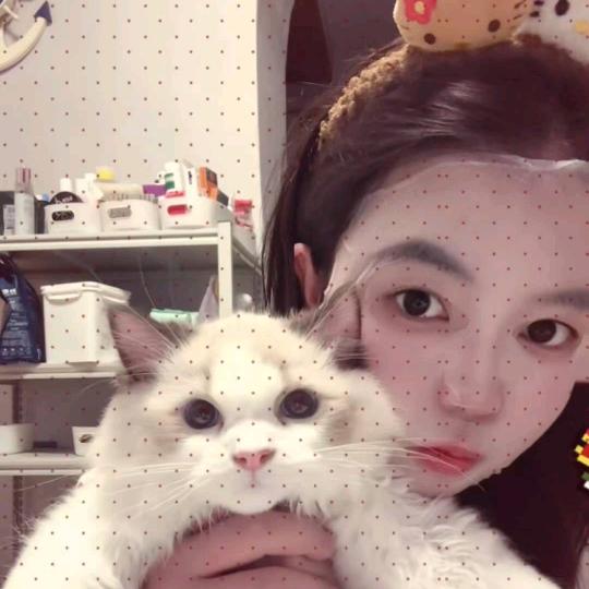 茉颜面部美学宠粉号