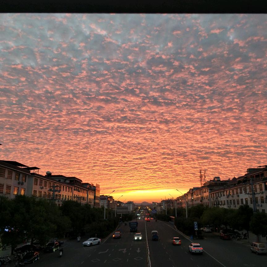 胖熊推拿官方号