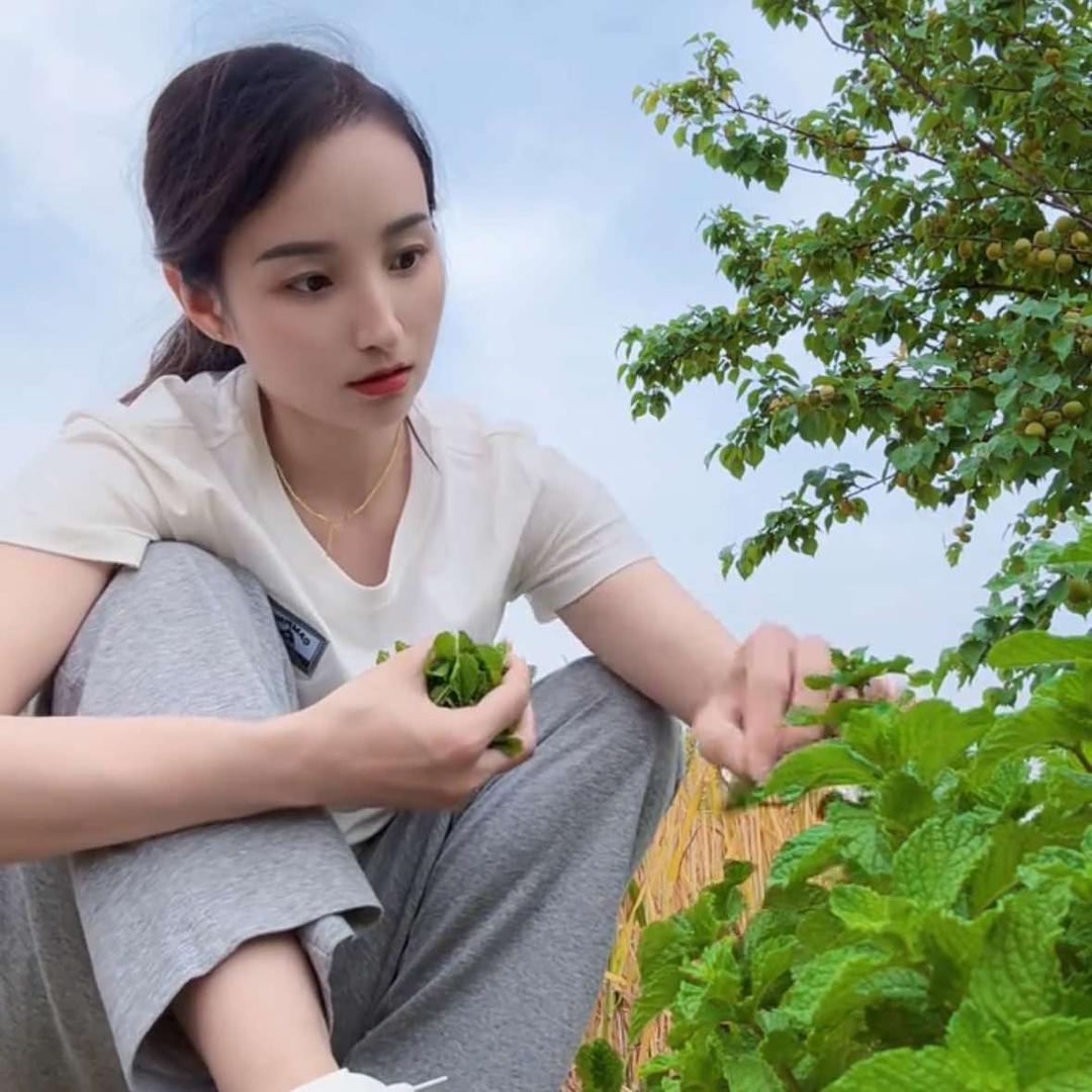 娜女士的蜀玖柒