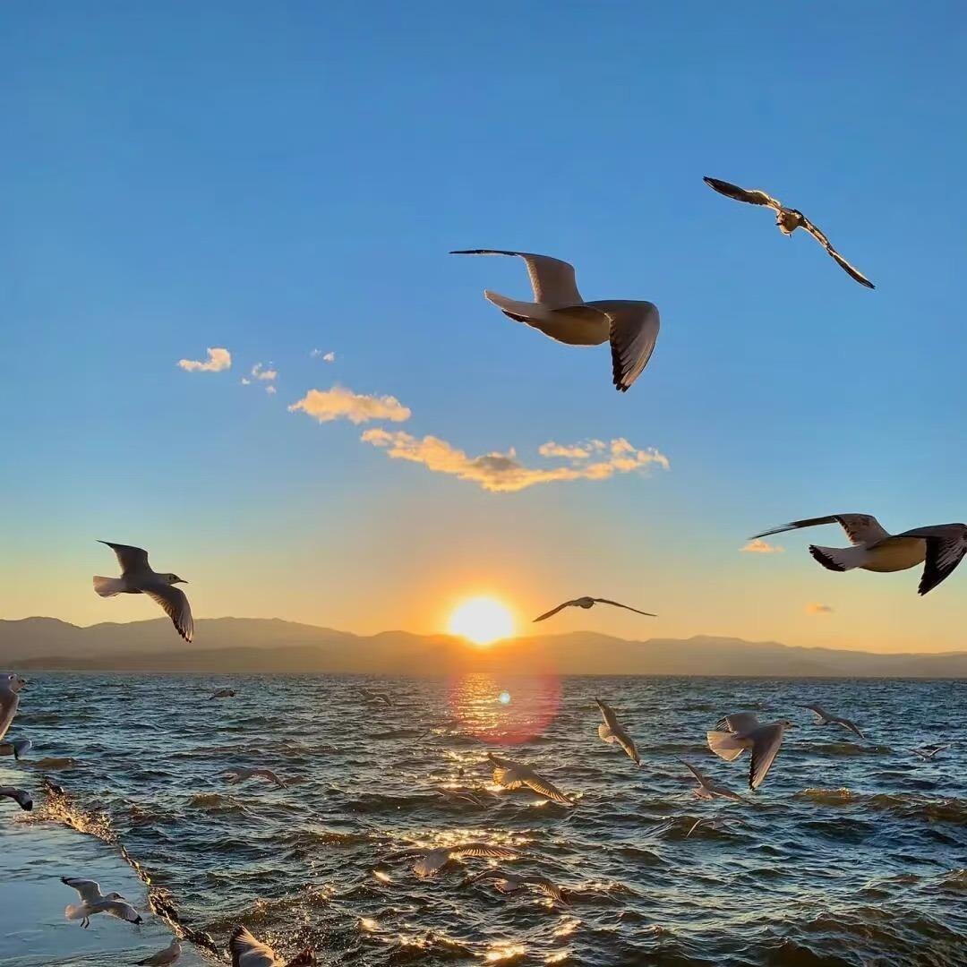 伟一家居品牌号