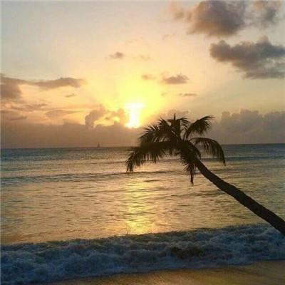 开心喜铺宠粉号