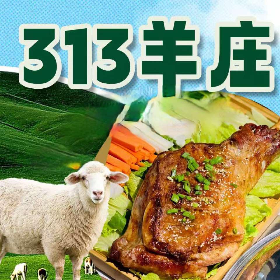 313羊庄(江宁胜太西路店)