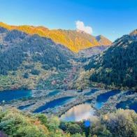 沈崇珠贸易客服号