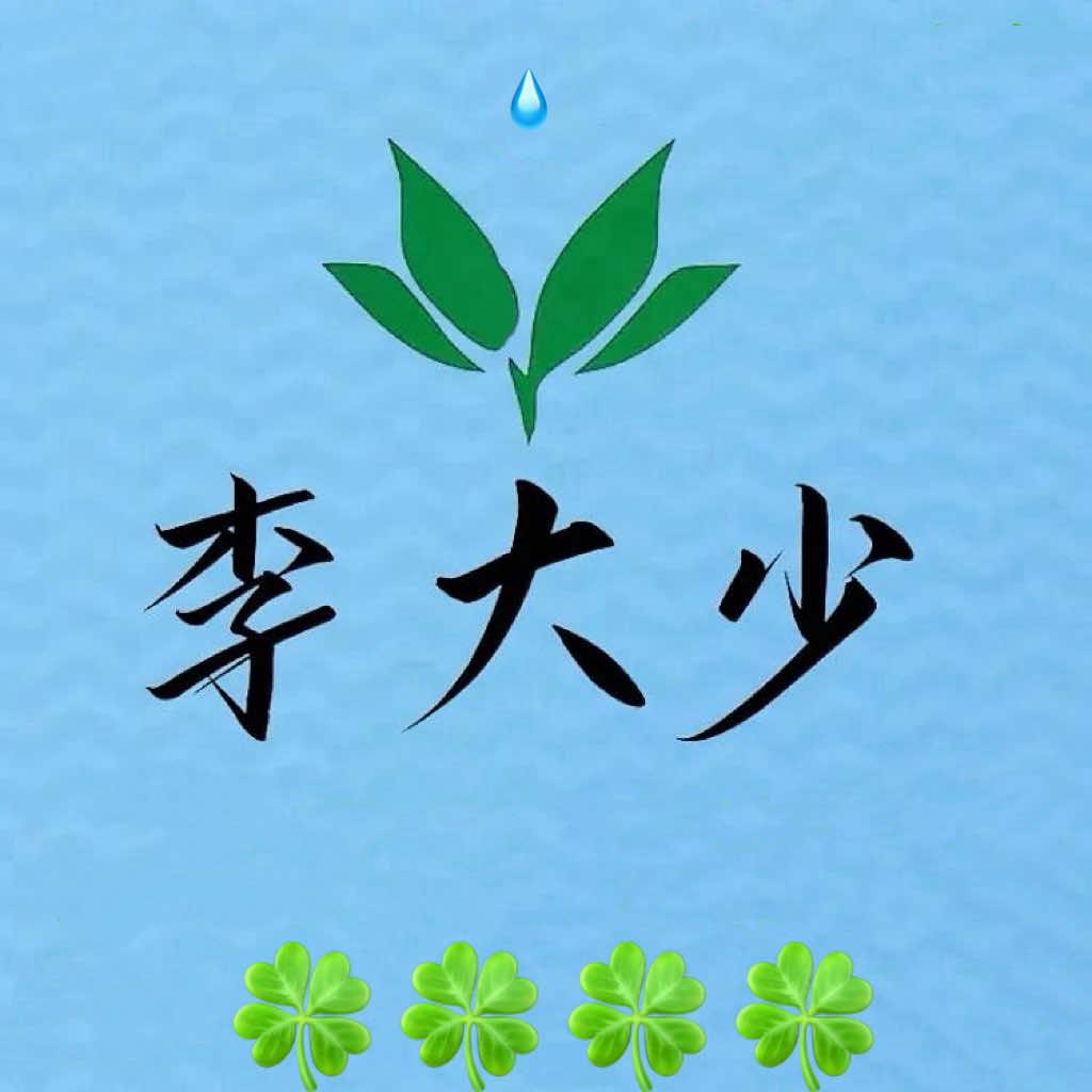 沈阳亿航网约车（李大少）