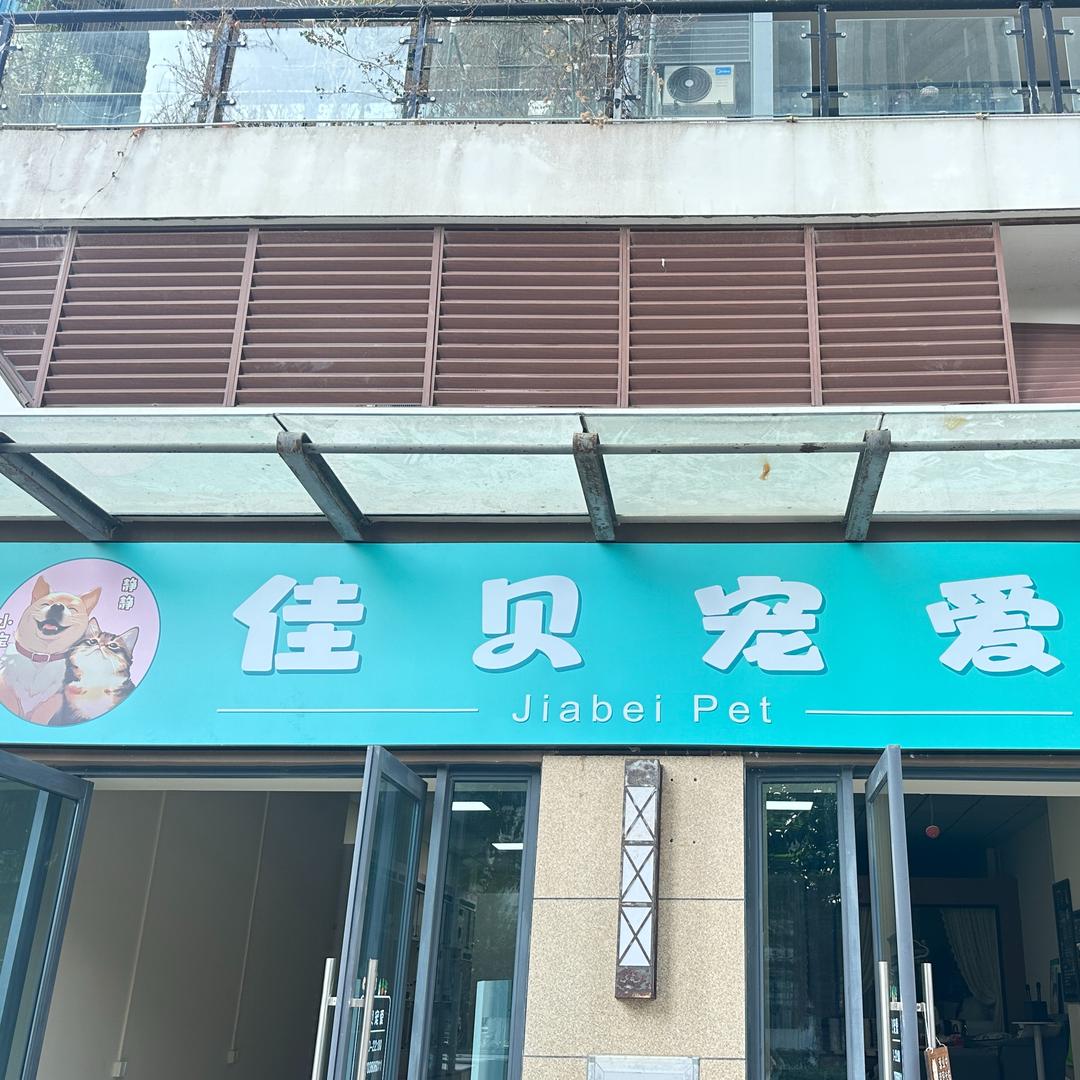 高傲猫🐈