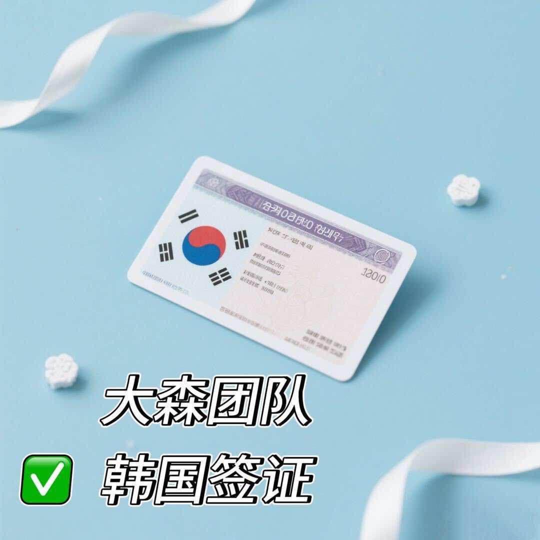光大国旅-韩国签证大森团队