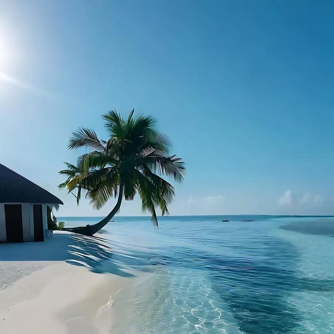 上海社望小张的直播号