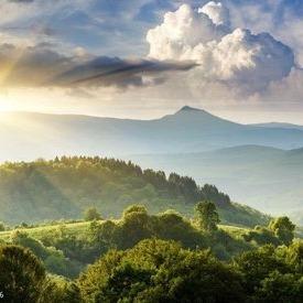 冉娥老师直播号