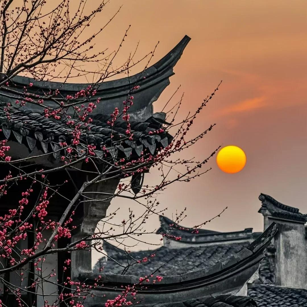 孜天师（智廖）