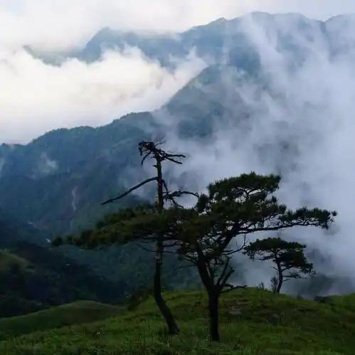 DC照相馆荔湾店直播号