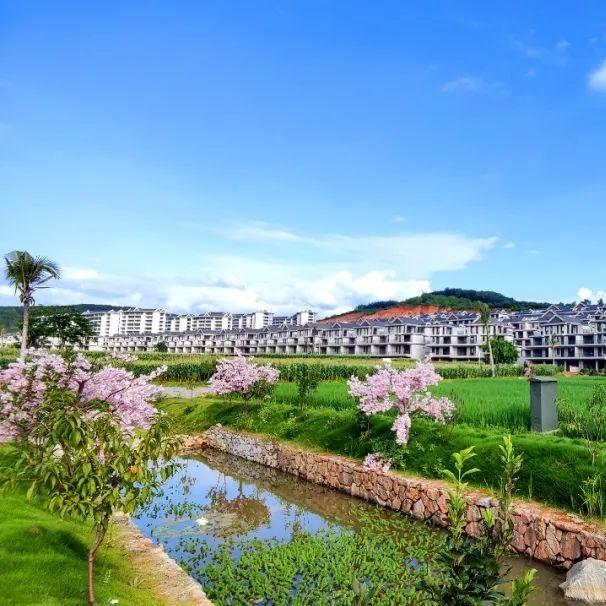 版纳旅居房产咨询（恒晨地产）