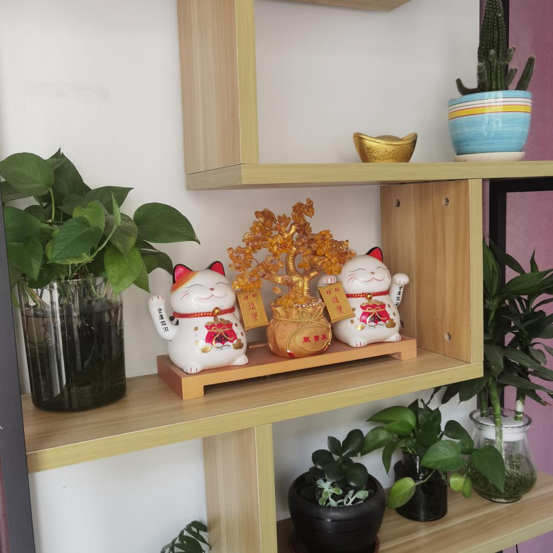 中药美容--专业调理问题性肌肤