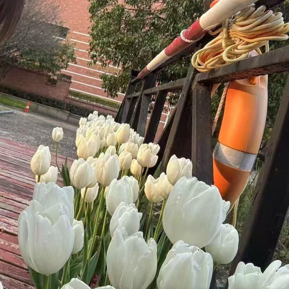 深圳市聚东香餐饮有限公司协议号