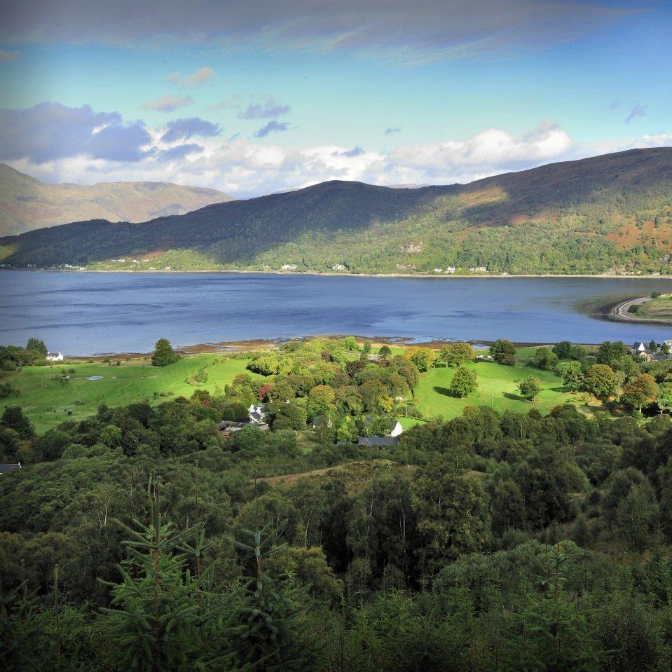 恒洋商贸直播号