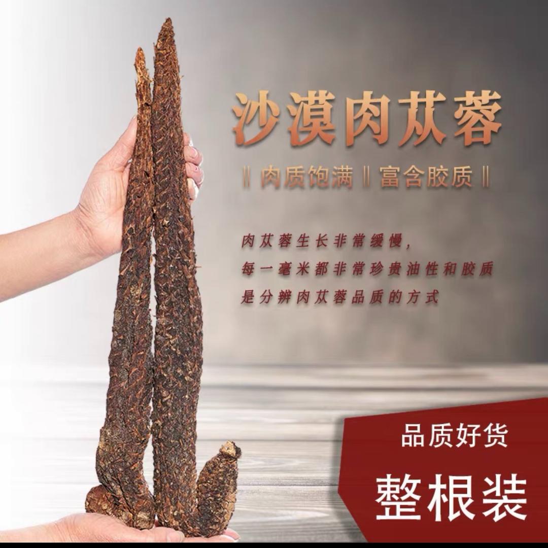 沙间苁蓉.隆玛
