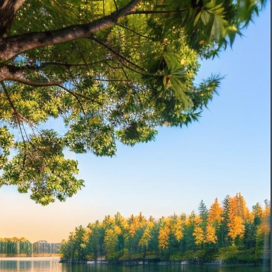 杞县车务，车险审车过户