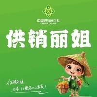 供销绿农淘（供销丽姐）