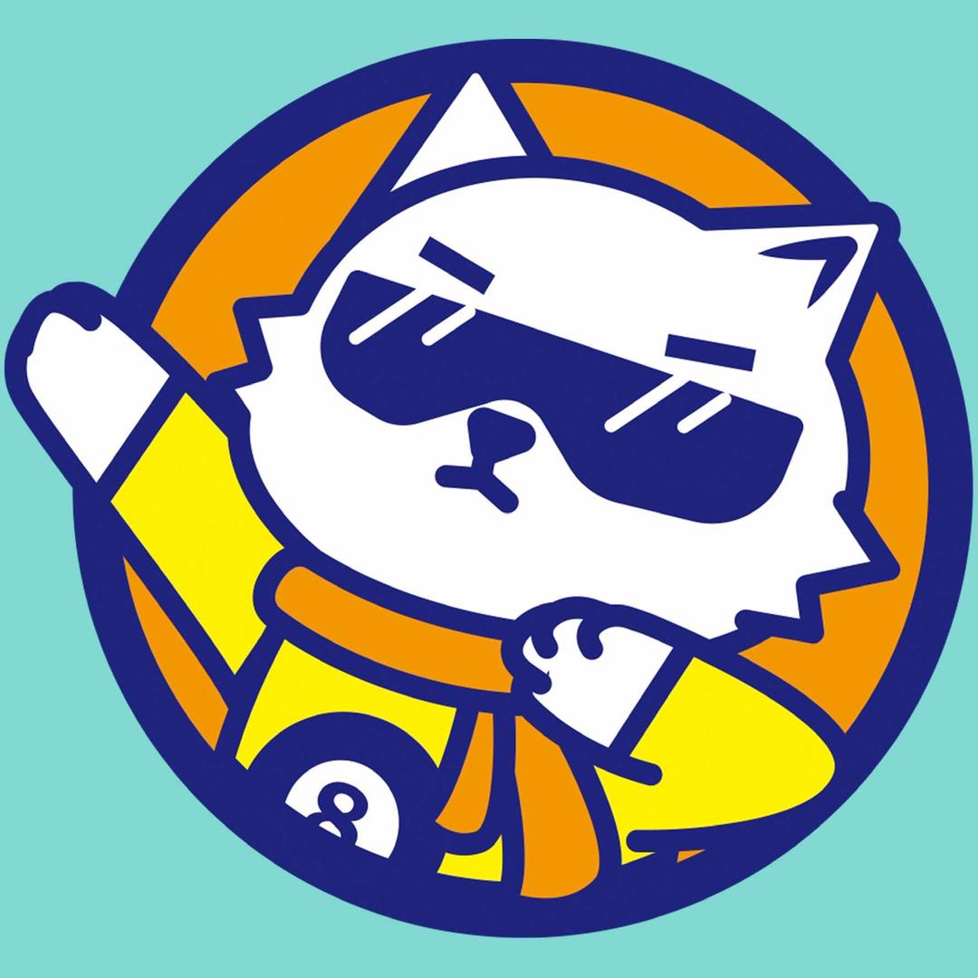 帅猫台球安徽蚌埠旗舰店