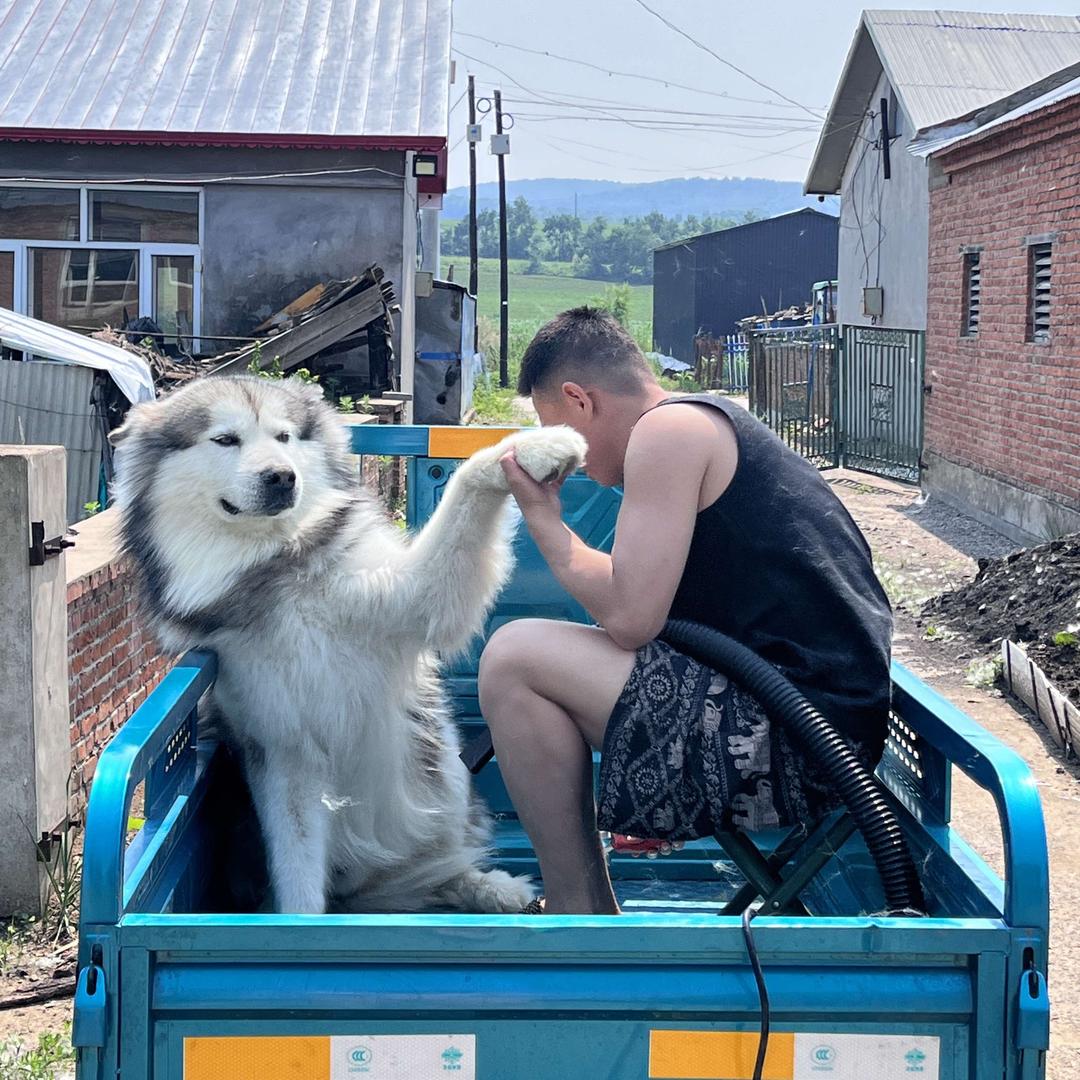 七安-