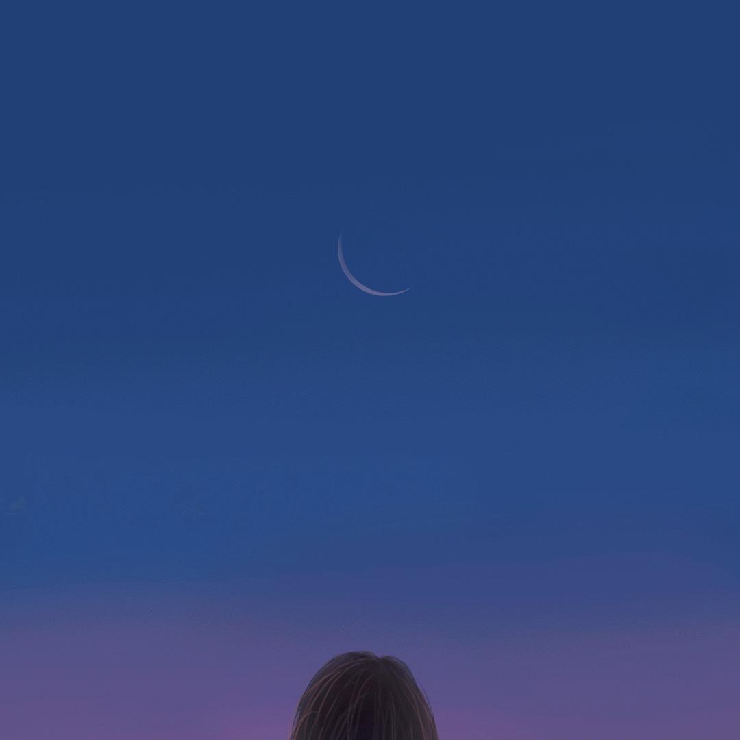 打了撒都直播号