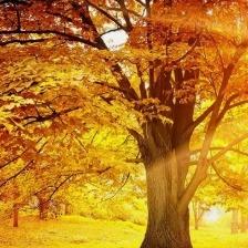 润兴隆商店a宠粉号