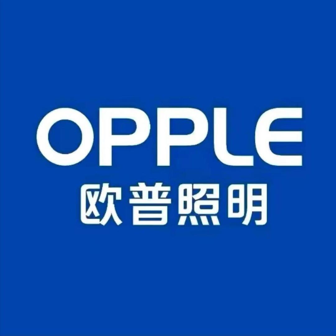 欧普照明(柘城万洋建材城店)