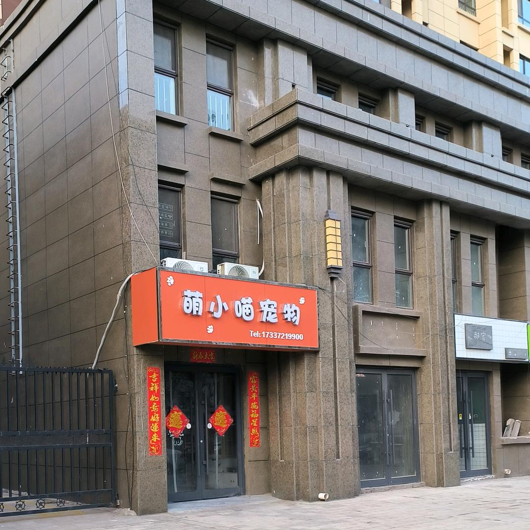 萌小喵宠物