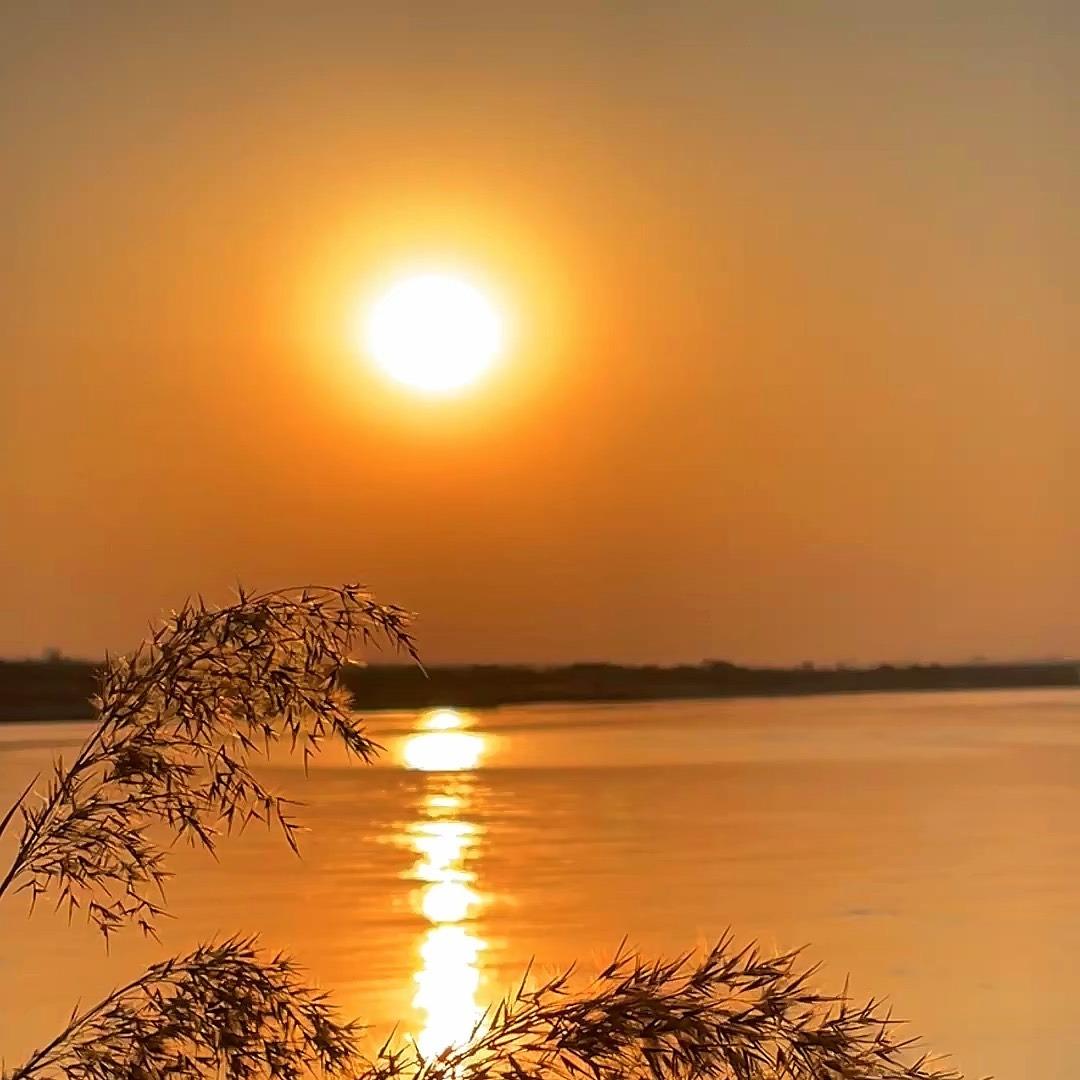 北京吉乐欣荣建筑工程有限公司大画直播号