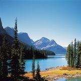 东莞市中堂川白电子111直播号