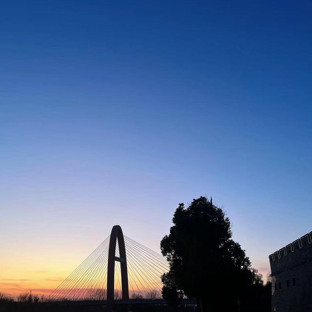 E B花语(澜岳)