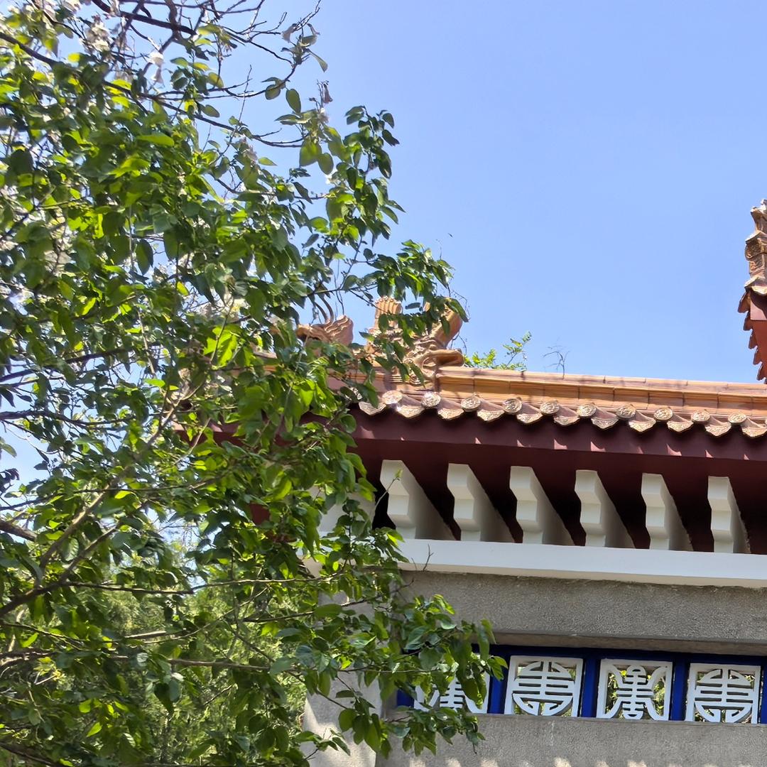 苏酥科技艾芨粉丝号