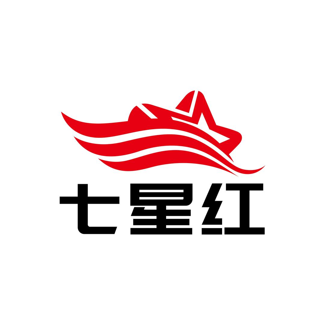 七星红汽车脚垫工厂(太原店)