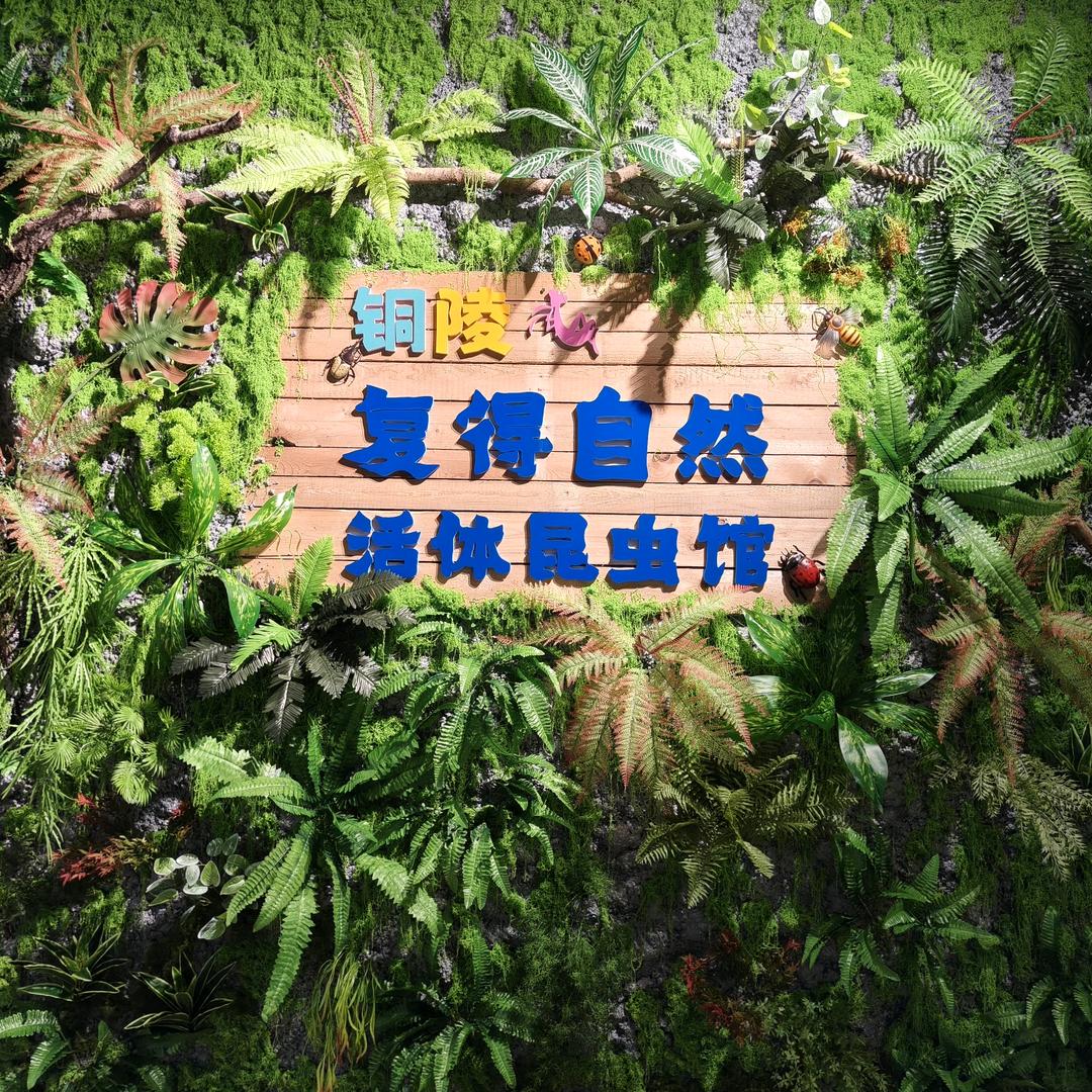复得自然昆虫馆小王