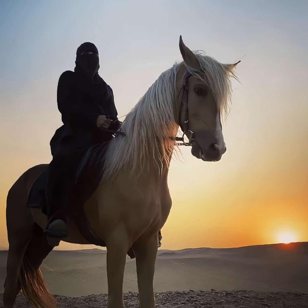 沐马汽车美容中心