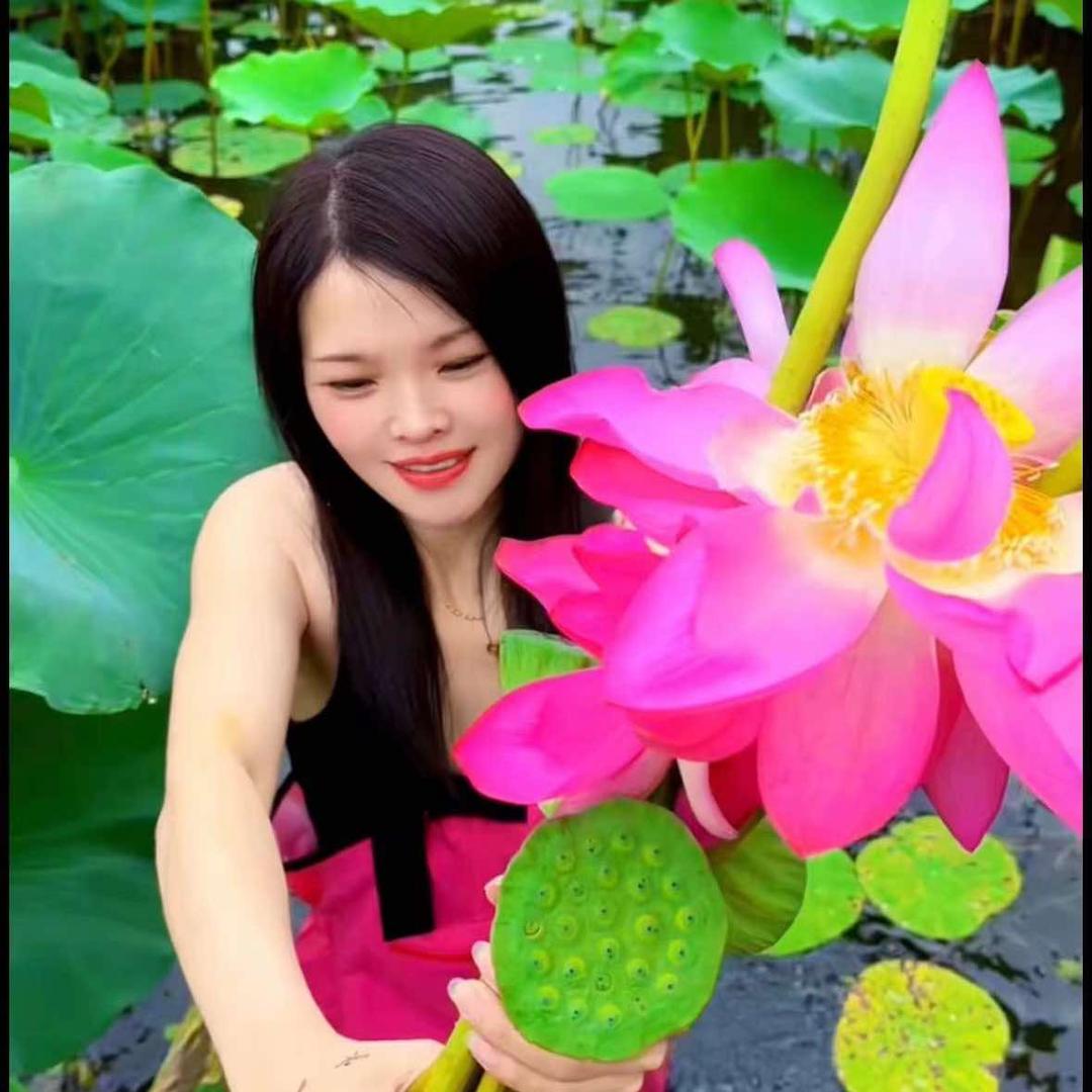 白洋淀荷香小院程程凯哥