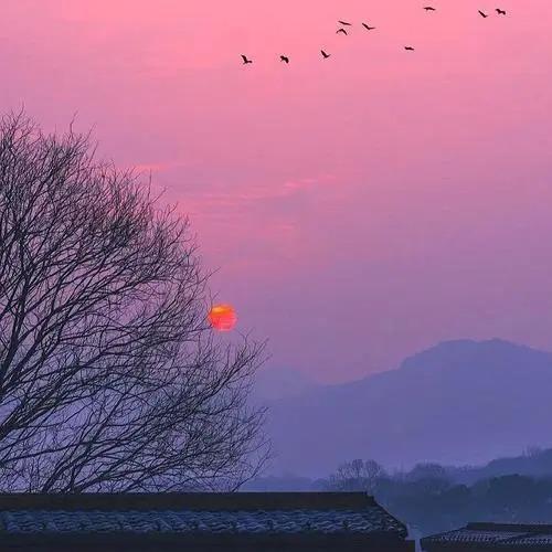 发发超市垂直号