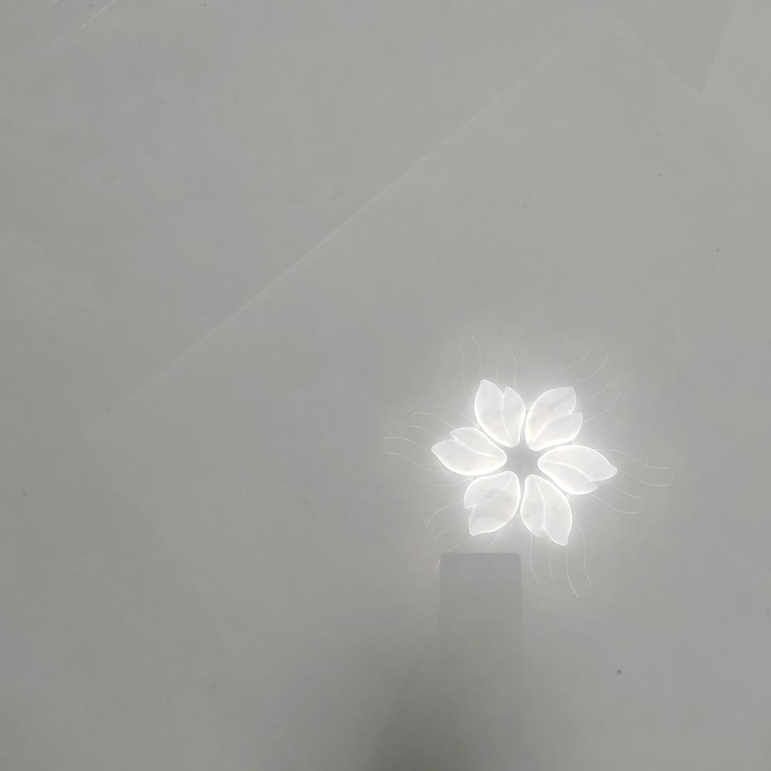 一直盯网直播号