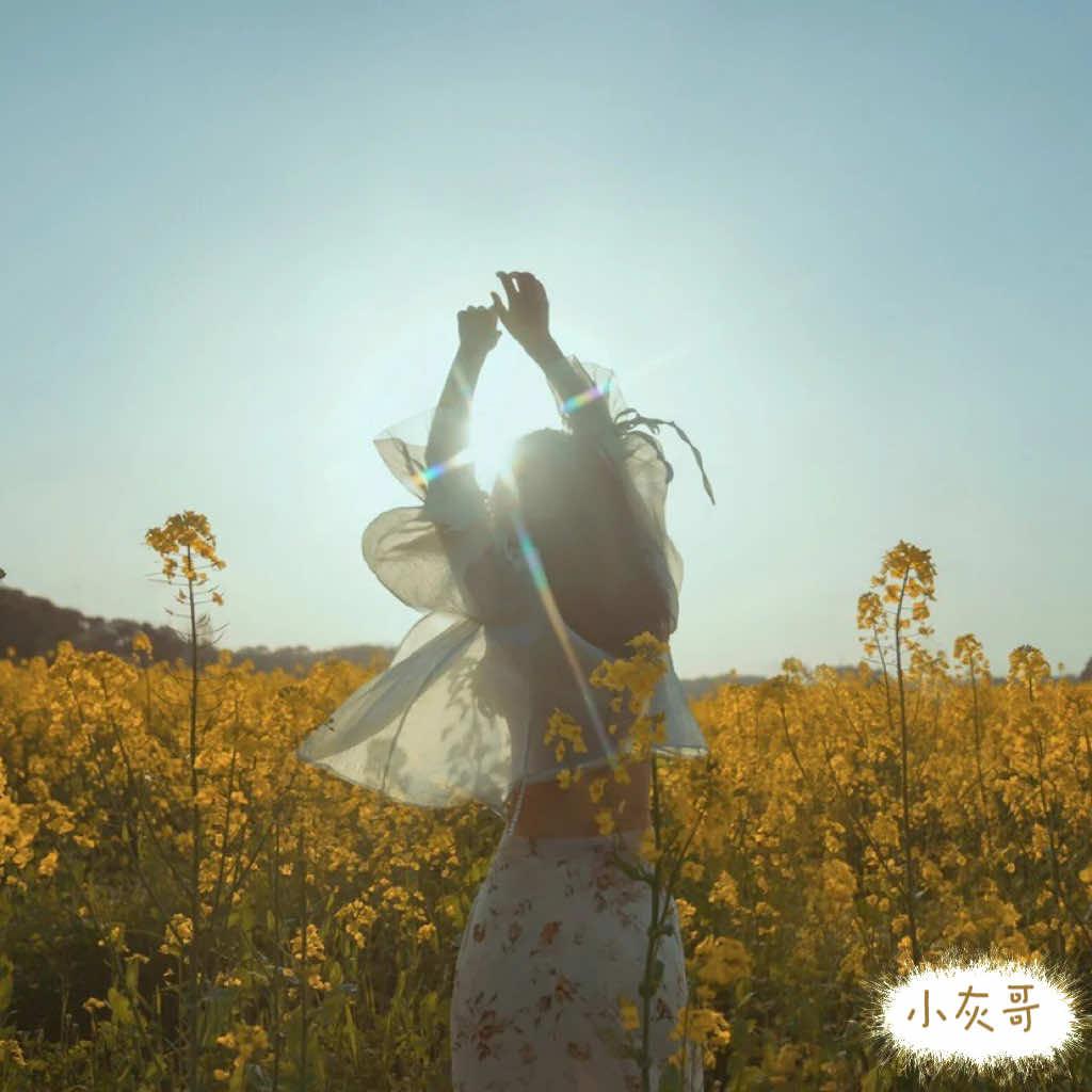 花花服饰(小灰哥)