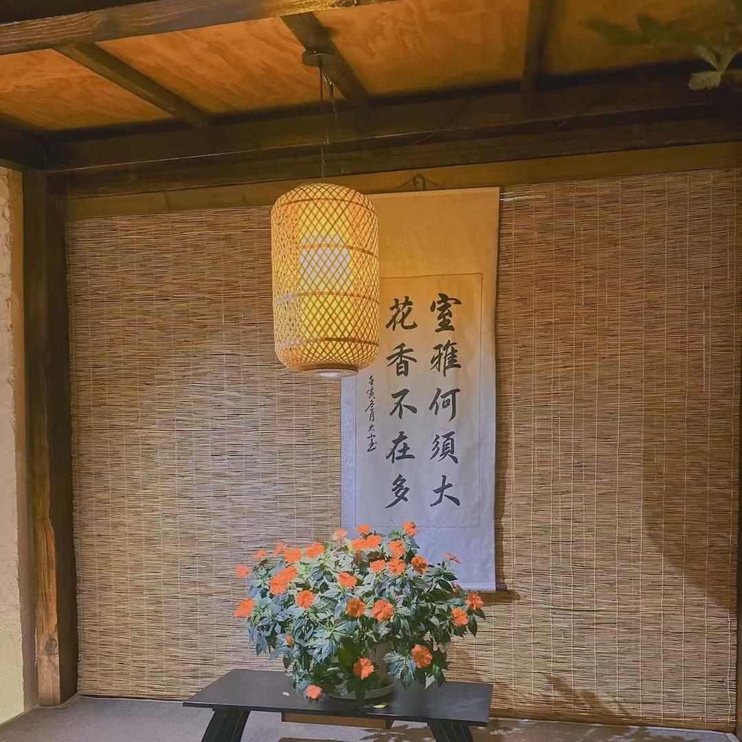 黎黎推广三号